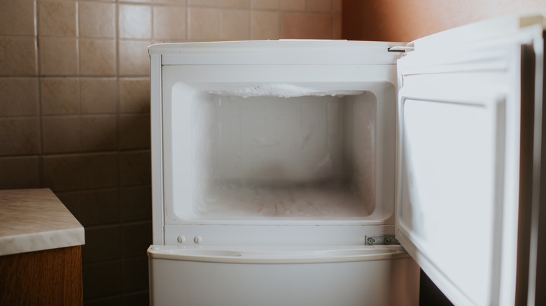 Close-up of an open fridge freezer