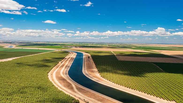 A view of a wide irrigation canal cutting through farmland in California's Central Valley with a bright blue sky and scattered clouds.