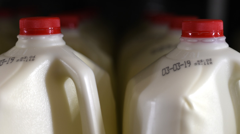 A closeup of red-capped milk jugs showing expiration dates