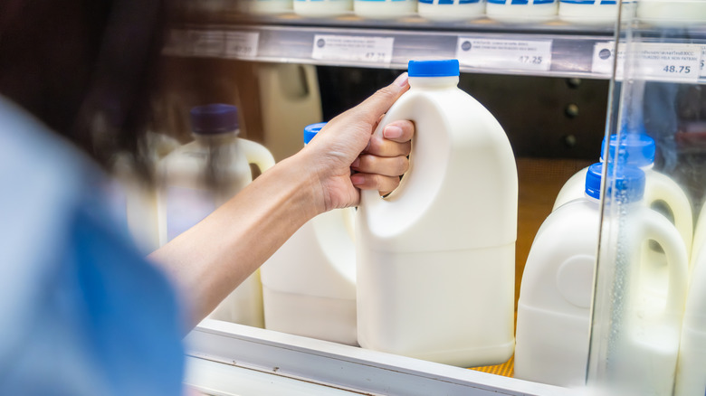 A woman grabs a gallon of milk off the shelf at the grocery store.