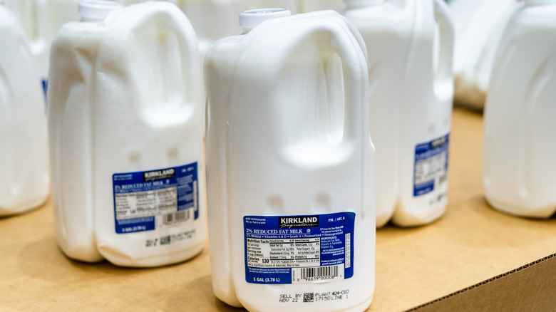 An open shelf with gallons of Kirkland Signature milk sitting on it.
