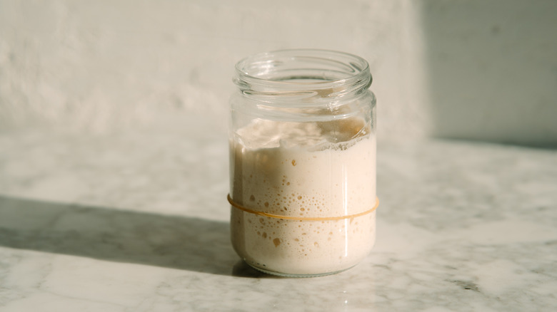 Sourdough starter in a glass jar