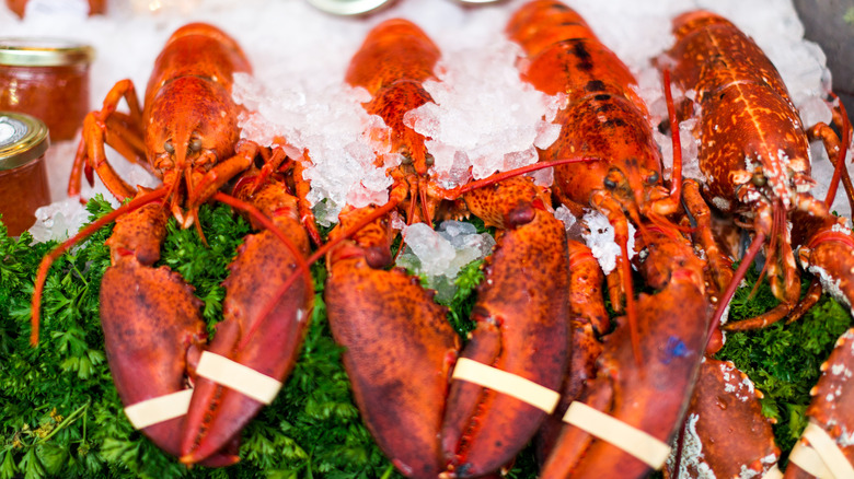 lobsters on ice at supermarket