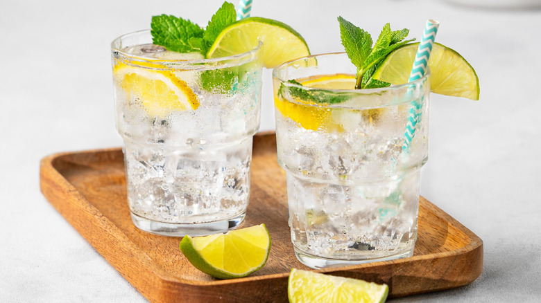 Two glasses of tonic water with lemon and mint