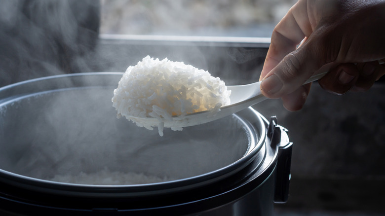 A hand scooping freshly-cooked rice out of a cooker.