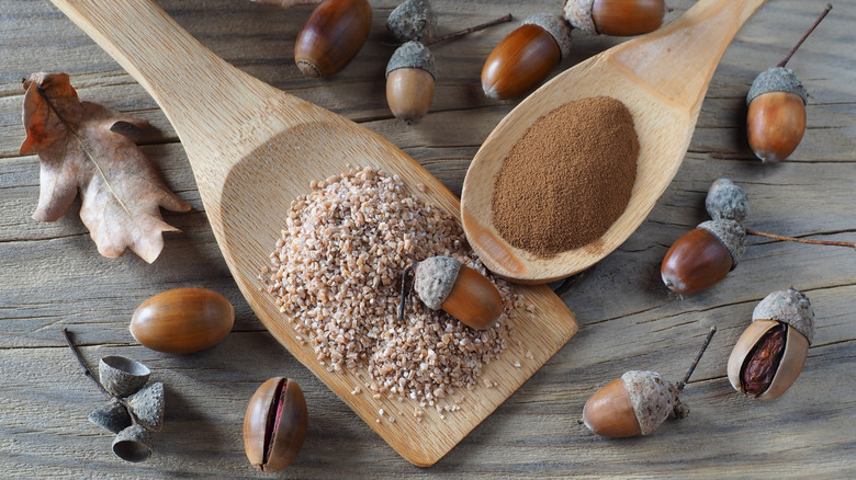 Ground acorn meal on wood spoons next to acorns and leaves