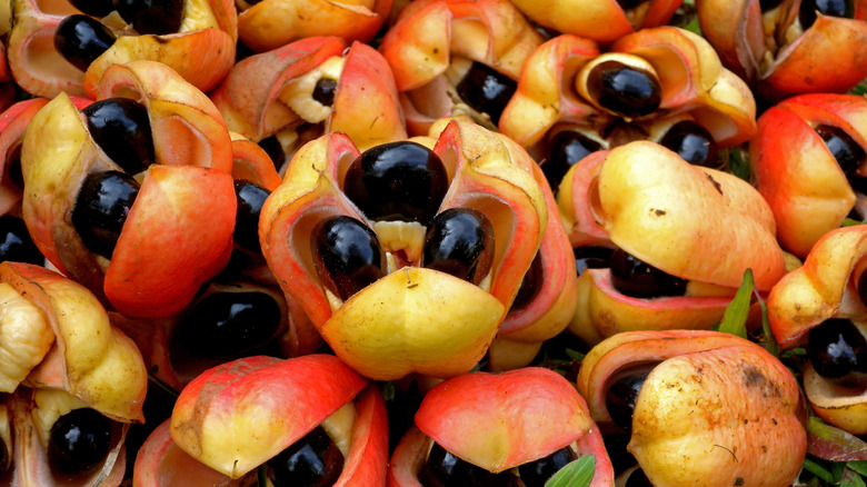 a pile of Jamaica's national ackee fruit