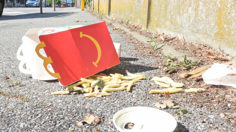 Food discarded from a McDonald's Happy Meal on a sidewalk