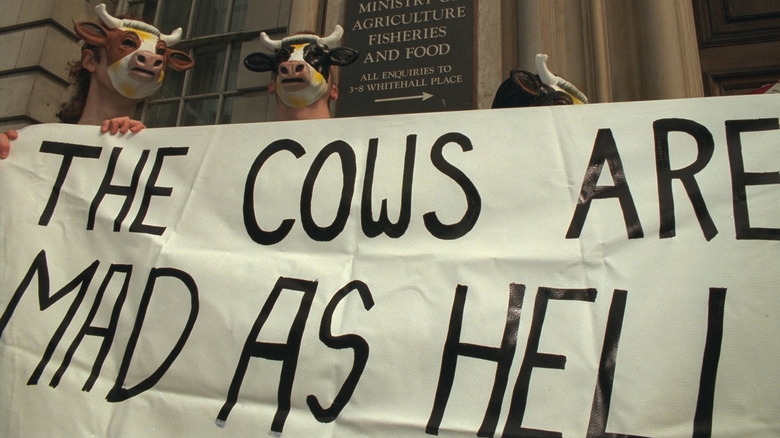 Protestors in front of the Ministry of Agriculture and Food in London