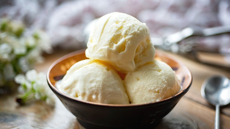 A bowl of homemade vanilla ice cream.