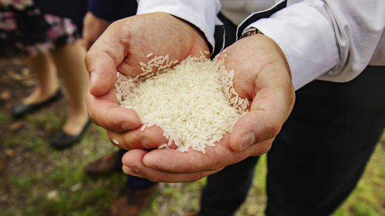 A man in formal clothes holds rice in his hands outdoors