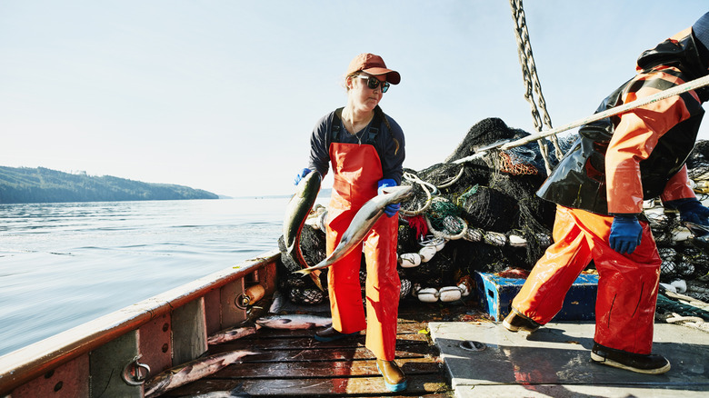 Fisherwoman on a boat pulling fish