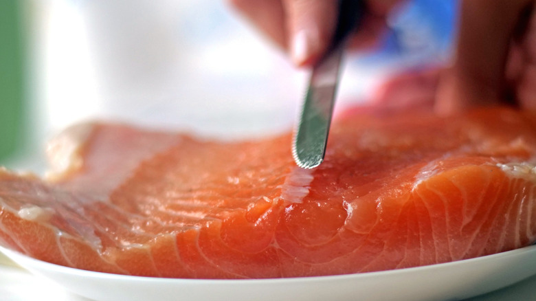 Chef delicately using tool on fish