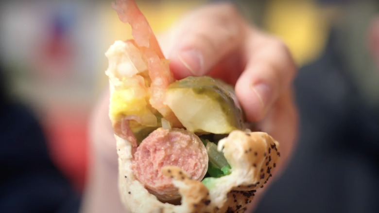 hand holding chicago style hot dog
