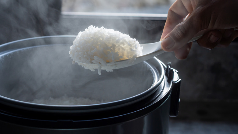 Hand scooping white rice out of rice cooker with white spoon