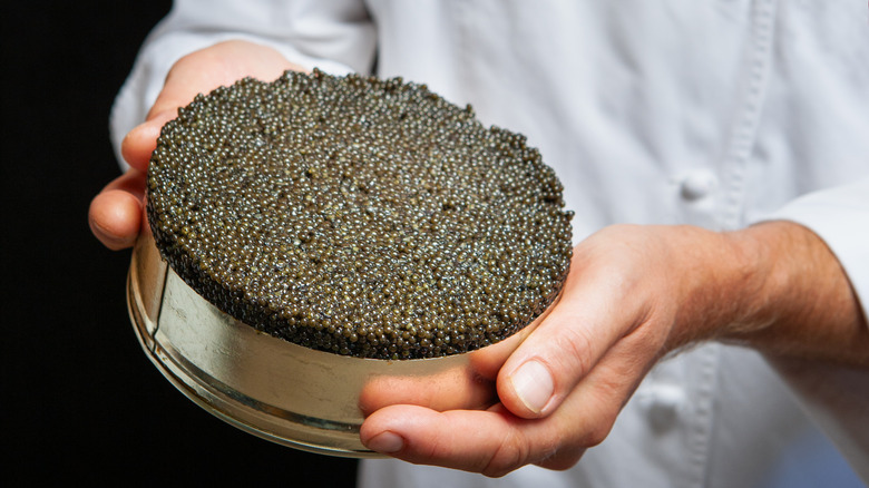 Chef holding a large container of beluga caviar