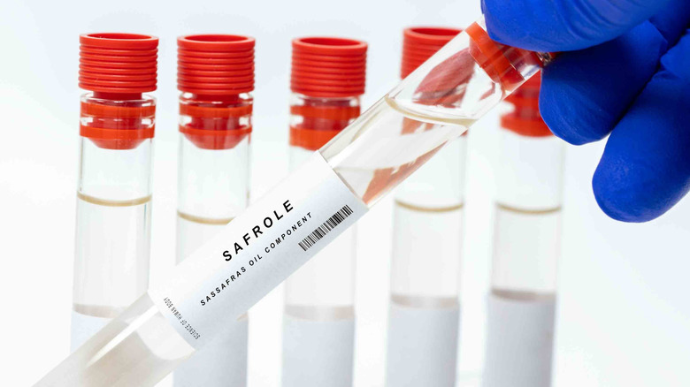 Vials of safrole (a component of sassafras oil)