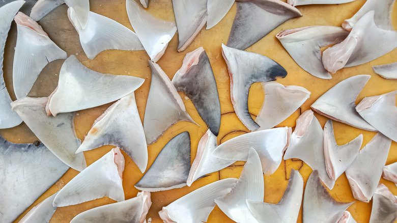 A collection of dried shark fins