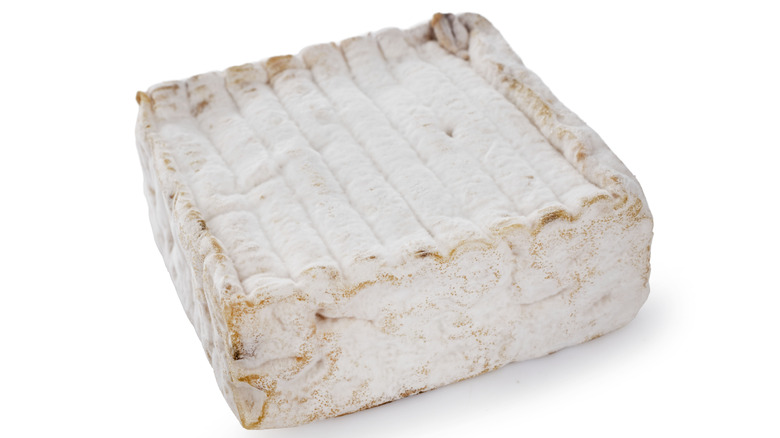 Maroilles cheese on a white background
