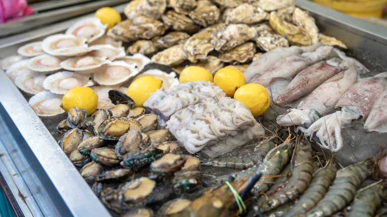 Mixed seafood including abalone on ice