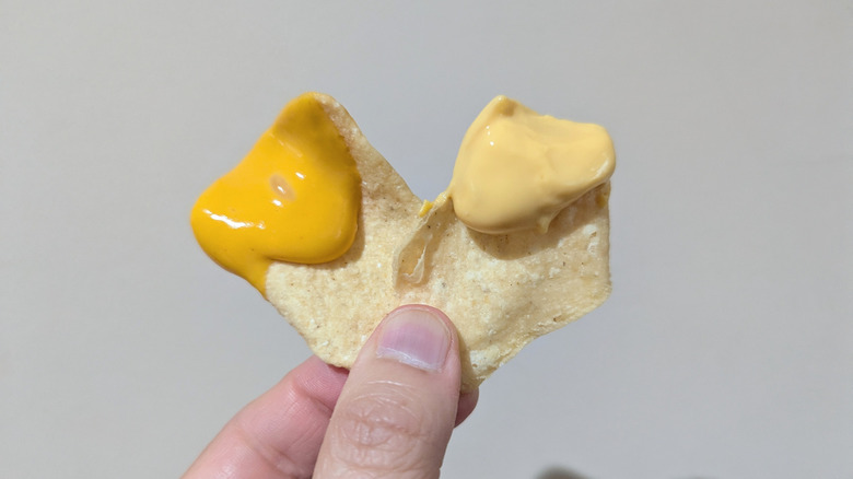 hand holding two chips with cheese