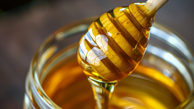 closeup honey stick dipped into glass jar of honey