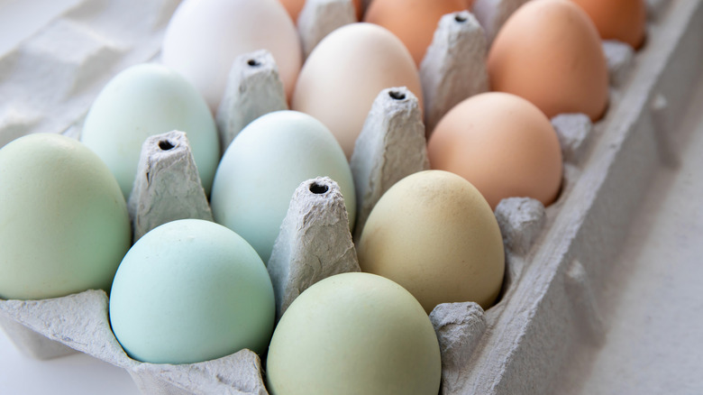 Closeup of pastel colored eggs in carton