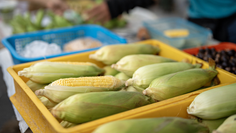 Corn at a market.
