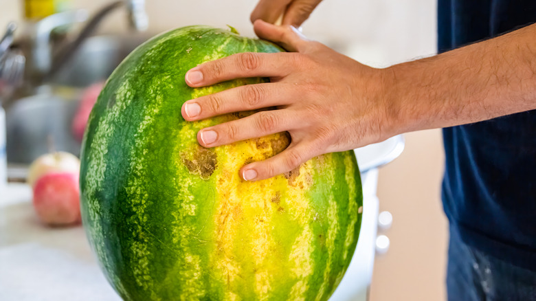 man cutting ripe watermelon