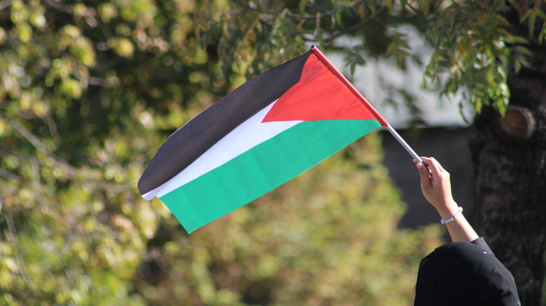 Palestinian flag waving