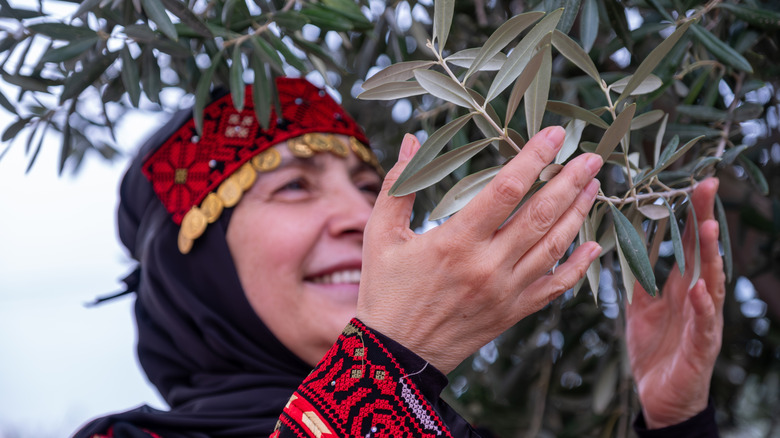 Smiling Palestinian woman holding olive tree