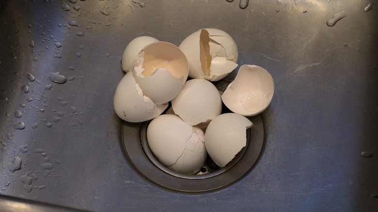 eggshells in a sink drain