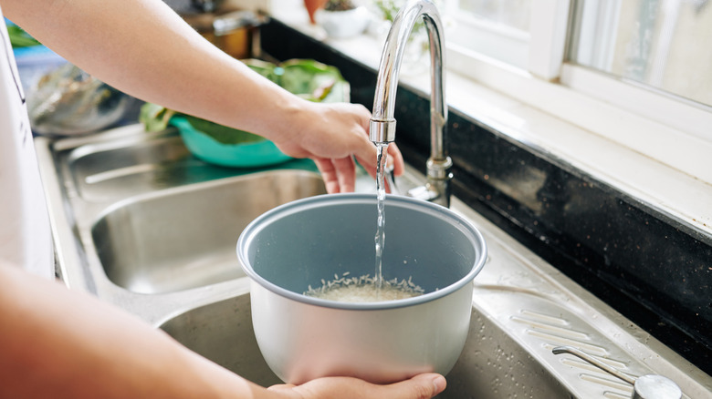 person fills rice cooker with tap water