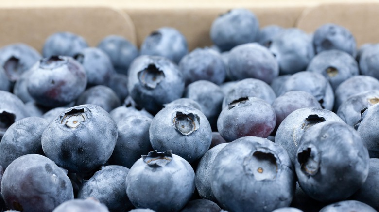 Blueberries with white bloom coating
