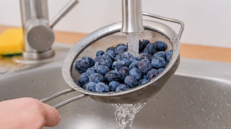 Person washing blueberries in strainer under faucet