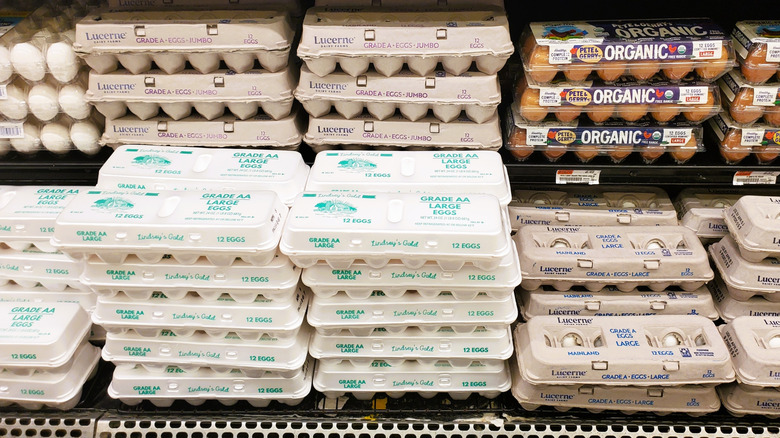 Egg cartons at store