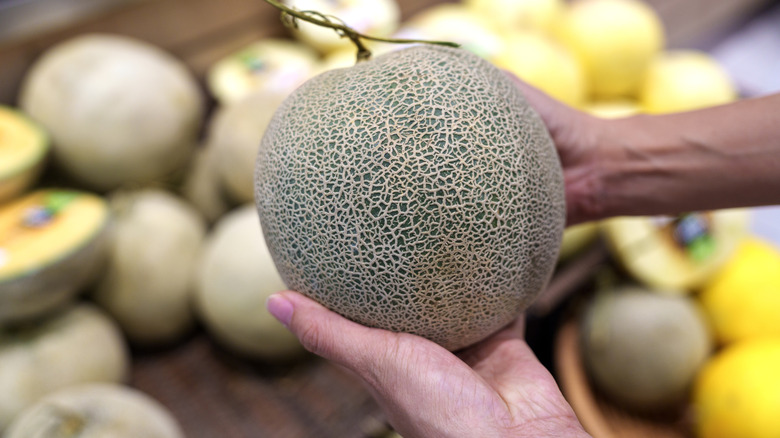 A person holding a cantaloupe at a market