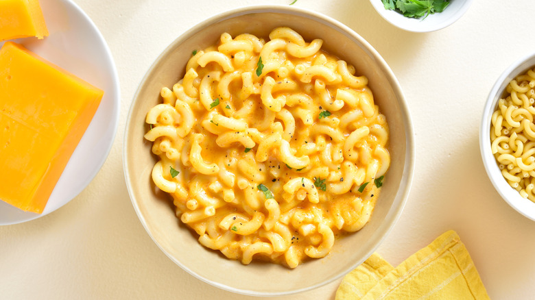 Macaroni and cheese in a white bowl