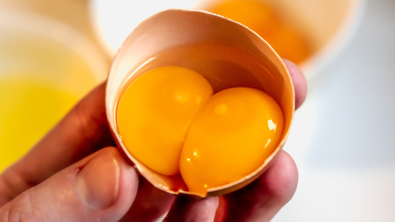 A closeup of a hand holding two egg yolks in one shell
