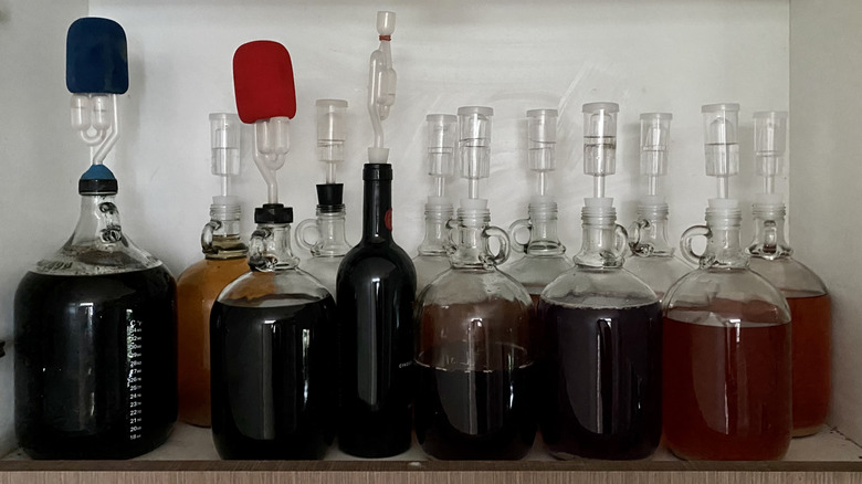 Various jugs of fermenting homemade wine
