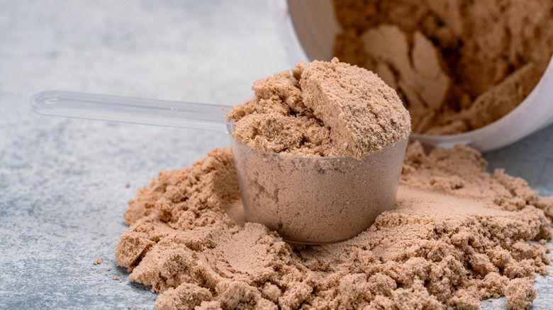 Chocolate protein pwder