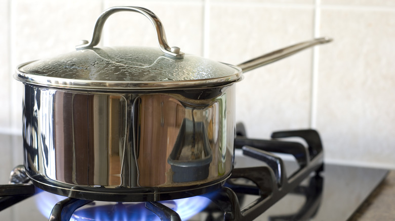 Stainless steel pot on a stove burner