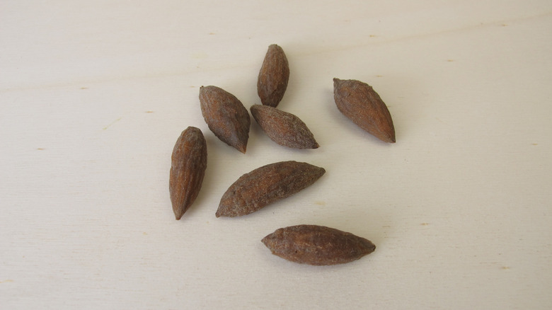 Seven olive pits on a white background.