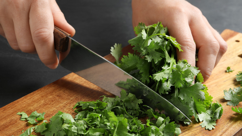 hands chop fresh cilantro on wooden board