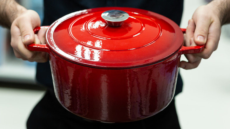 Enameled cast iron pot
