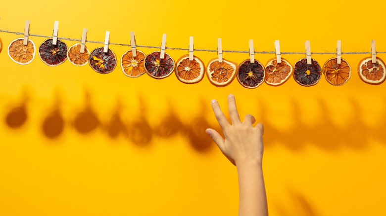 A hand reaching for dried orange slices hanging on a rope