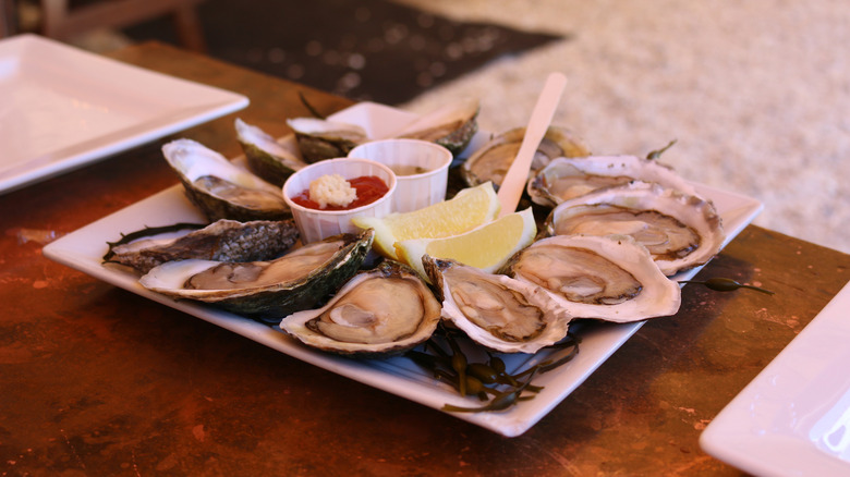 Wellfleet oysters on a square white plate with cocktail sauce and lemon wedeges