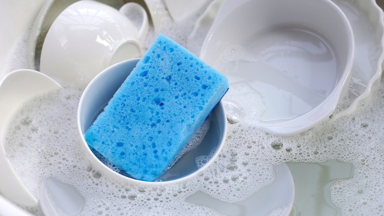 Kitchen sponge floating in soapy water with dishes