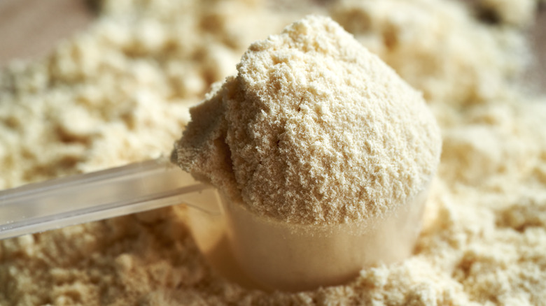 A plastic measuring cup heaped with whey protein powder.