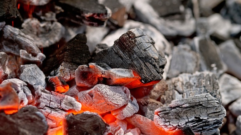 Close up of charcoal coals burning.